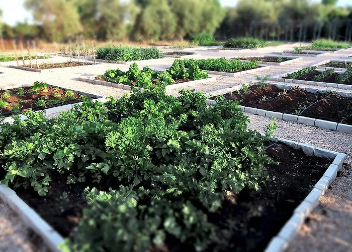 منتجع Donna Coraly Country Boutique 2*